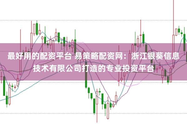最好用的配资平台 易策略配资网：浙江银葵信息技术有限公司打造的专业投资平台