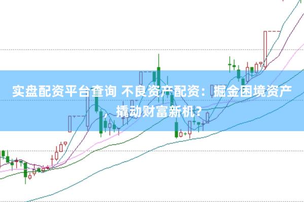 实盘配资平台查询 不良资产配资：掘金困境资产，撬动财富新机？