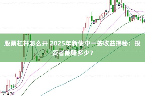 股票杠杆怎么开 2025年新债中一签收益揭秘：投资者能赚多少？