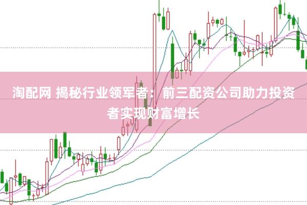 淘配网 揭秘行业领军者：前三配资公司助力投资者实现财富增长