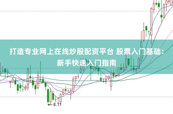 打造专业网上在线炒股配资平台 股票入门基础：新手快速入门指南