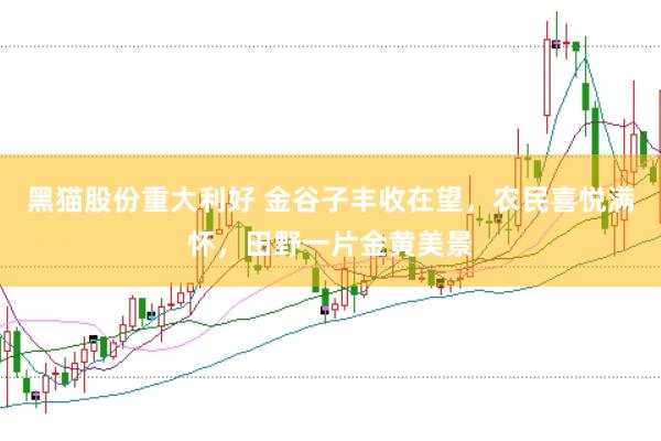 黑猫股份重大利好 金谷子丰收在望，农民喜悦满怀，田野一片金黄美景