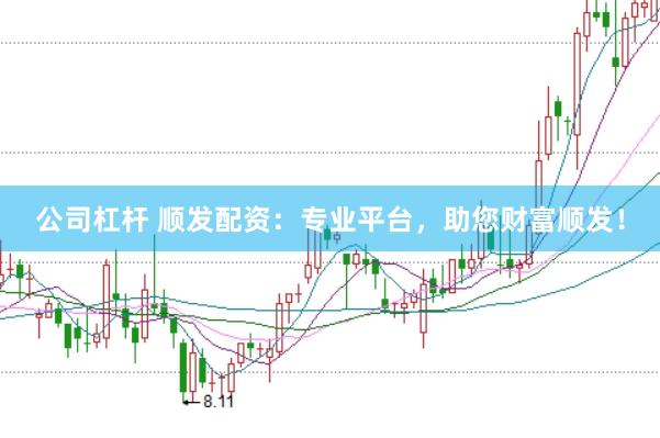 公司杠杆 顺发配资：专业平台，助您财富顺发！