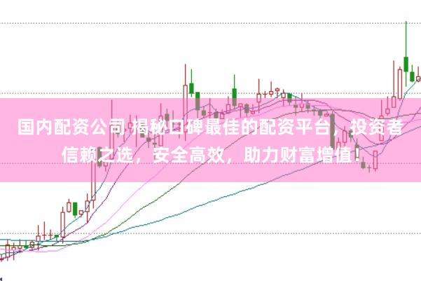 国内配资公司 揭秘口碑最佳的配资平台，投资者信赖之选，安全高效，助力财富增值！