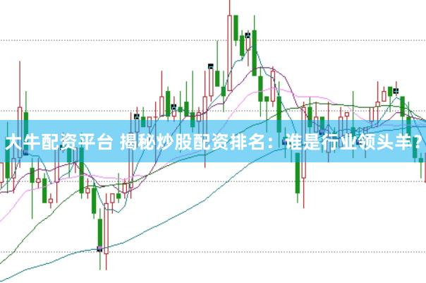 大牛配资平台 揭秘炒股配资排名：谁是行业领头羊？