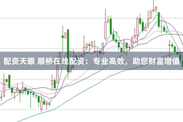 配资天眼 顺桥在线配资：专业高效，助您财富增值
