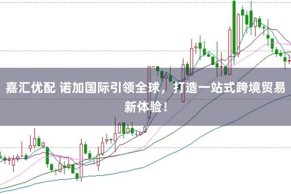 嘉汇优配 诺加国际引领全球，打造一站式跨境贸易新体验！
