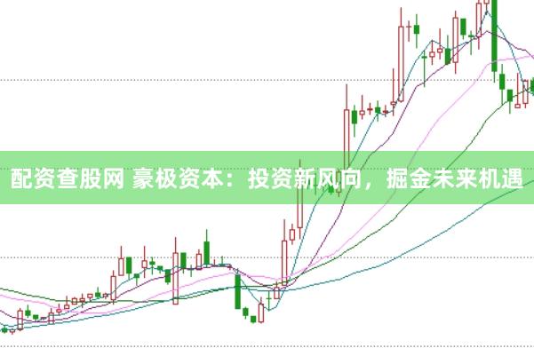 配资查股网 豪极资本:投资新风向,掘金未来机遇