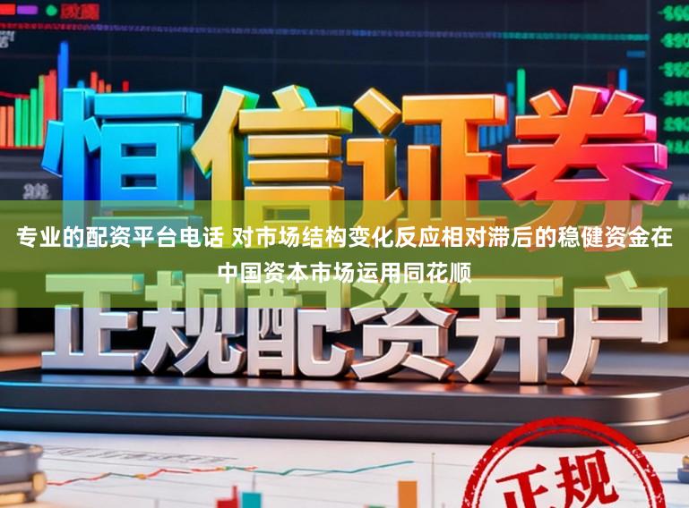 专业的配资平台电话 对市场结构变化反应相对滞后的稳健资金在中国资本市场运用同花顺